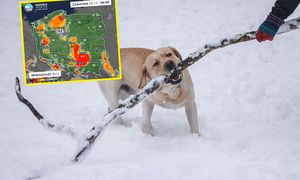 Zima nie odpuszcza. Prognoza pogody na 4 i 5 grudnia