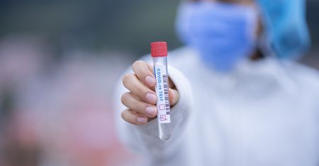 Wiesz, jak wykonuje się badania krwi? W tej krzyżówce sprawdzisz swoją wiedzę