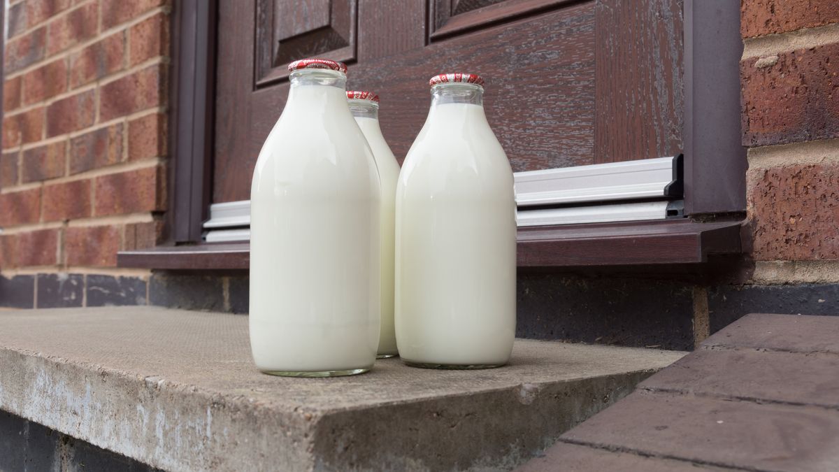 Fresh milk in recyclable glass pint bottles delivered to the door step by a traditional milk manDavid Pimboroughmilk, bottle, glass, delivered, delivery, door step, doorstep, pint, pinta, house, home, semi skimmed, semi skim, half fat, healthy, dairy, food, cows, breakfast, milkman, cold, morning, pasteurized, pasteurised, traditional, drink, top, cap, container, local, recyclable, English, England, British, Great Britain, UK, United Kingdom, milk, bottle, glass, delivered, delivery, door step, doorstep, pint, pinta, house, home, semi skimmed, semi skim, half fat, healthy, dairy, food, cows, breakfast, milkman, cold, morning, pasteurized, pasteurised, traditional, drink, top, cap, container, local, recyclable, english, england, british, great britain, uk, united kingdom