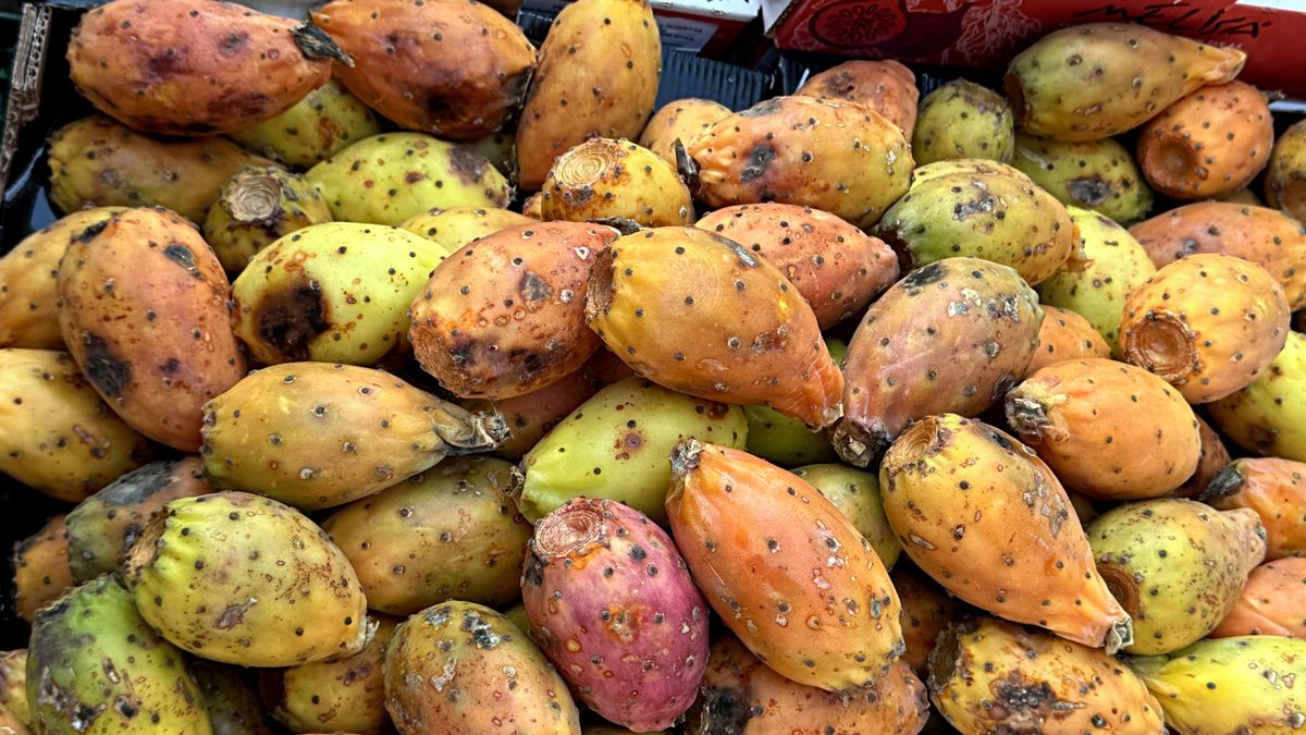 Figa kaktusowa ma pozytywny wpływ na poziom cukru i cholesterolu.