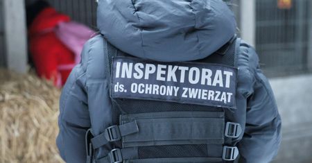 Kierownik schroniska zrezygnowała. Pod petycją tysiące podpisów