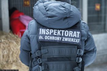 Kierownik schroniska zrezygnowała. Pod petycją tysiące podpisów