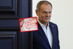 Sukces rządowego programu. Premier świętuje: Jest się z czego cieszyć