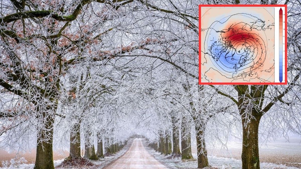 Wir polarny przyniesie chłodną zimę?