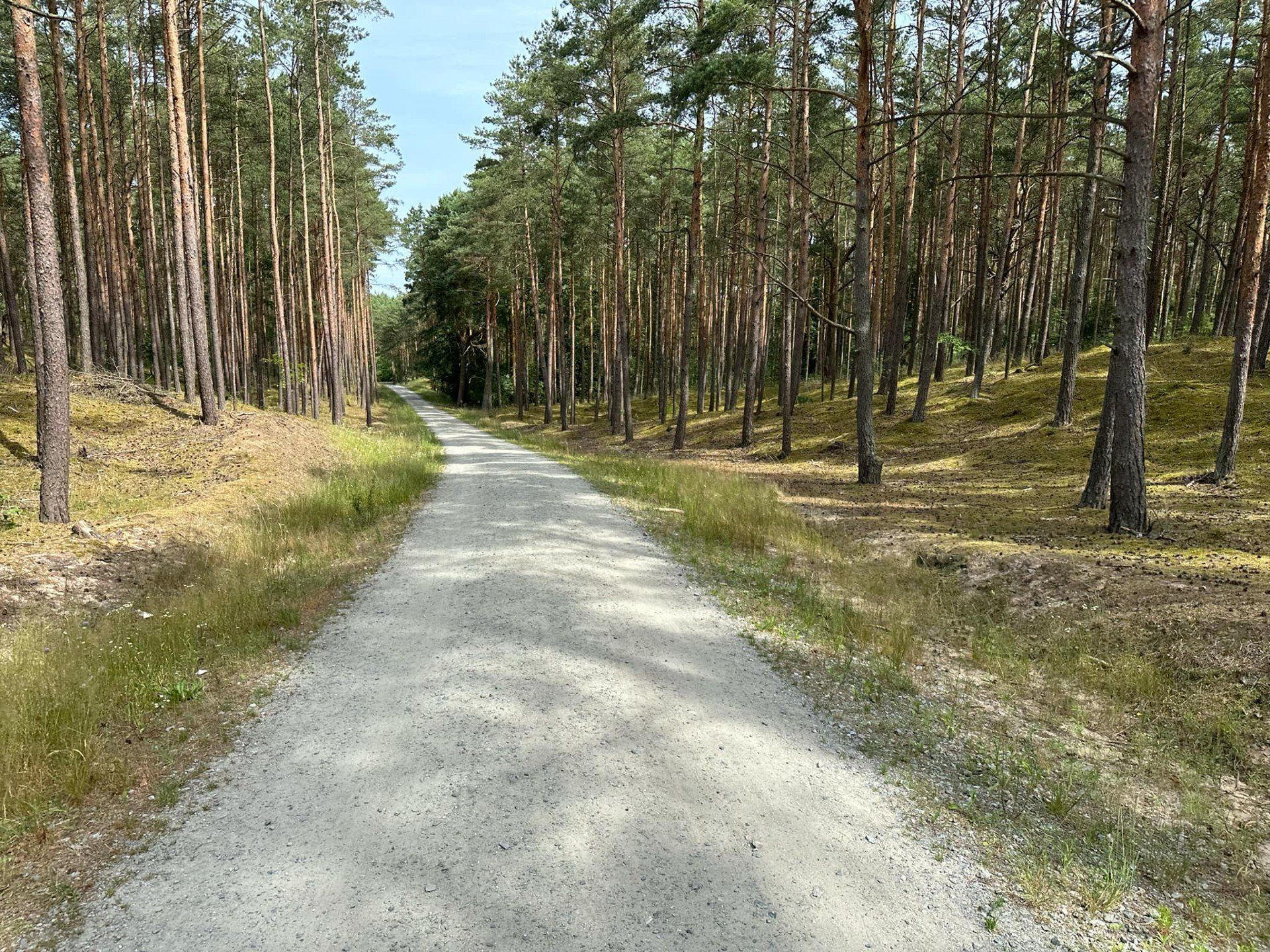Rowerem przez Wyspę Sobieszewską