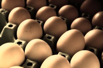 Salmonella na skorupkach jajek w Biedronce. GIS ostrzega