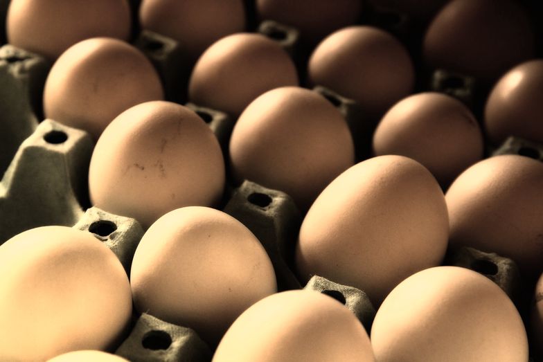 Salmonella na skorupkach jajek w Biedronce. GIS ostrzega