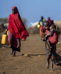 Poziom głodu na świecie rośnie. ONZ alarmuje