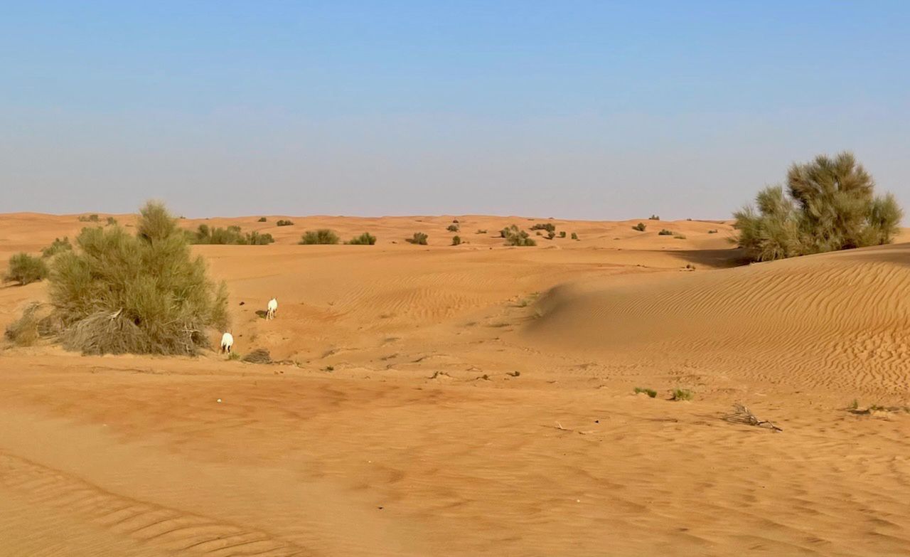 Dubaj. Noc na pustyni