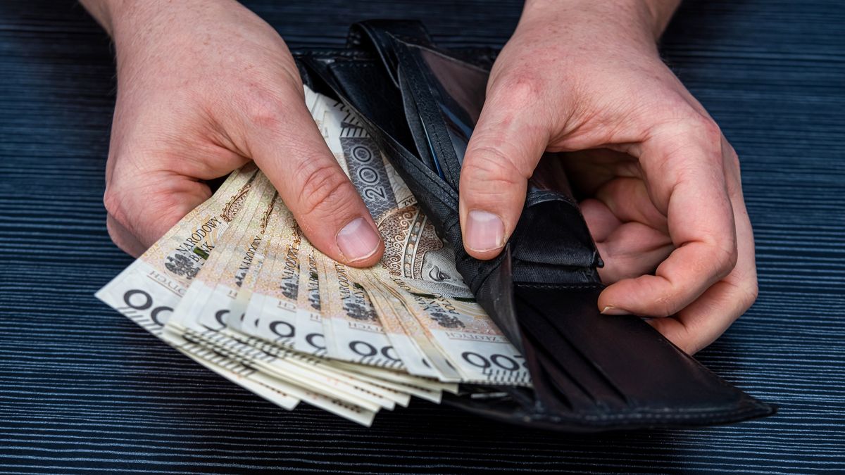 man takes pln Polish zlotys from his wallet, payment cash concept
man takes pln Polish zlotys from his wallet, payment cash concept. Rich
alfexe
polish