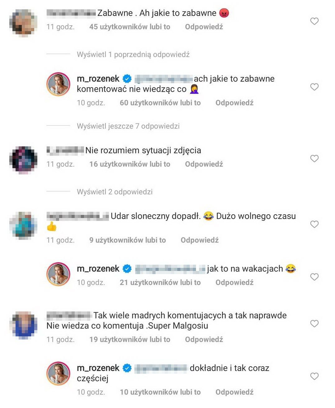 Małgorzata Rozenek kłóci się z fankami na Instagramie