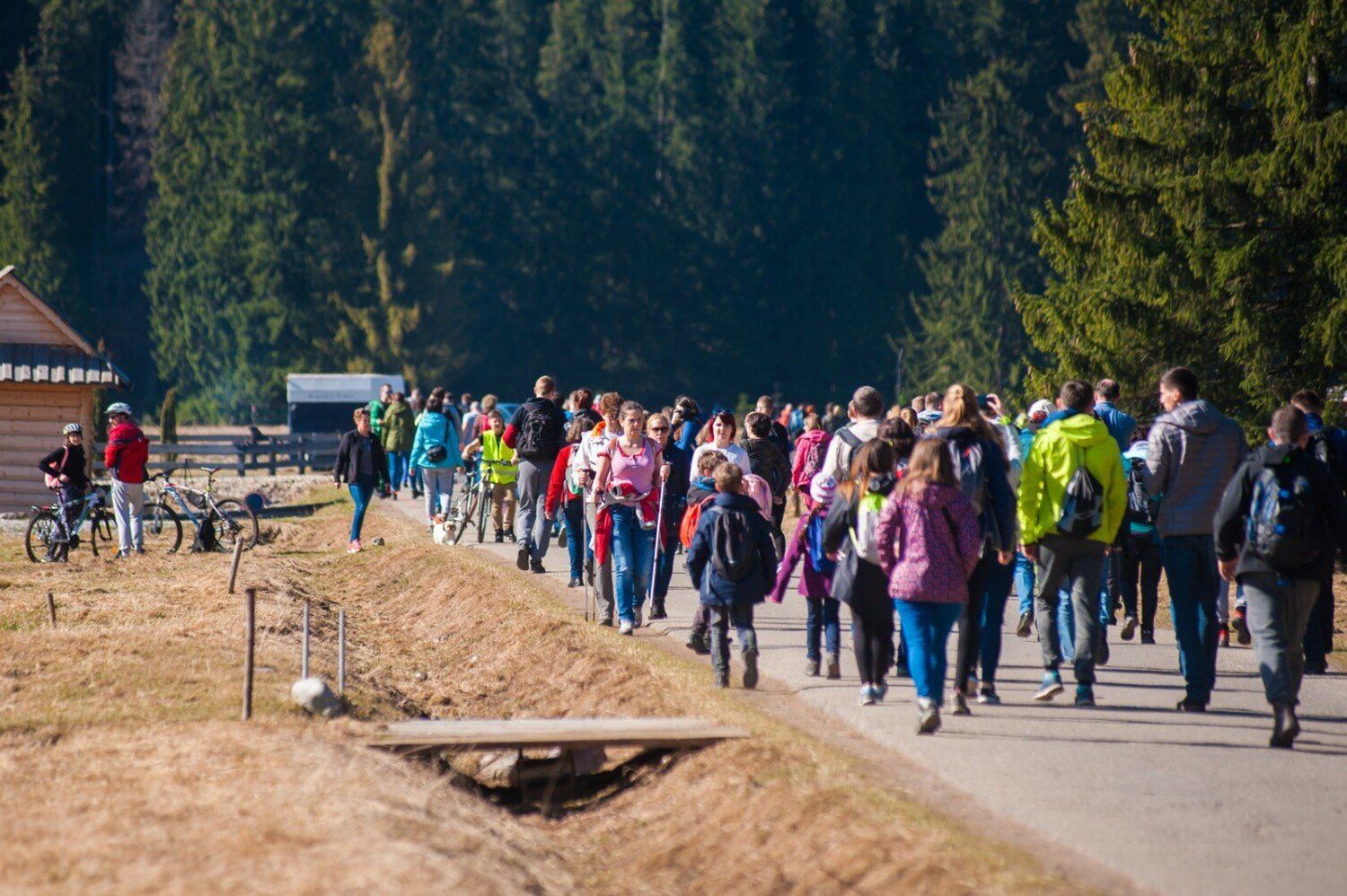 Wiosna w Dolinie Chchołowskiej