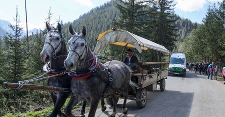Kolejki do wozów konnych nad Morskie Oko. "Elektryki" mało popularne