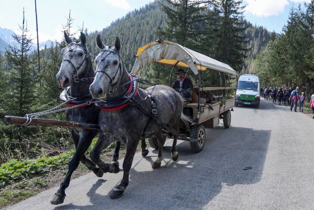 Kolejki do wozów konnych nad Morskie Oko. "Elektryki" mało popularne