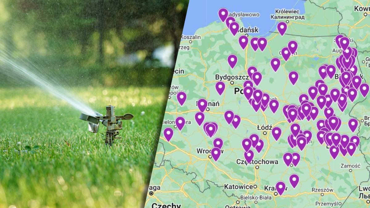 Susza w Polsce. Gminy wprowadzają zakazy związane z użyciem wody