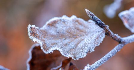 Ostrzeżenie meteorologiczne przed gołoledzią