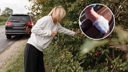 Niszczą serce, śledzionę. Objawy chorób odkleszczowych mogą pojawić się na skórze