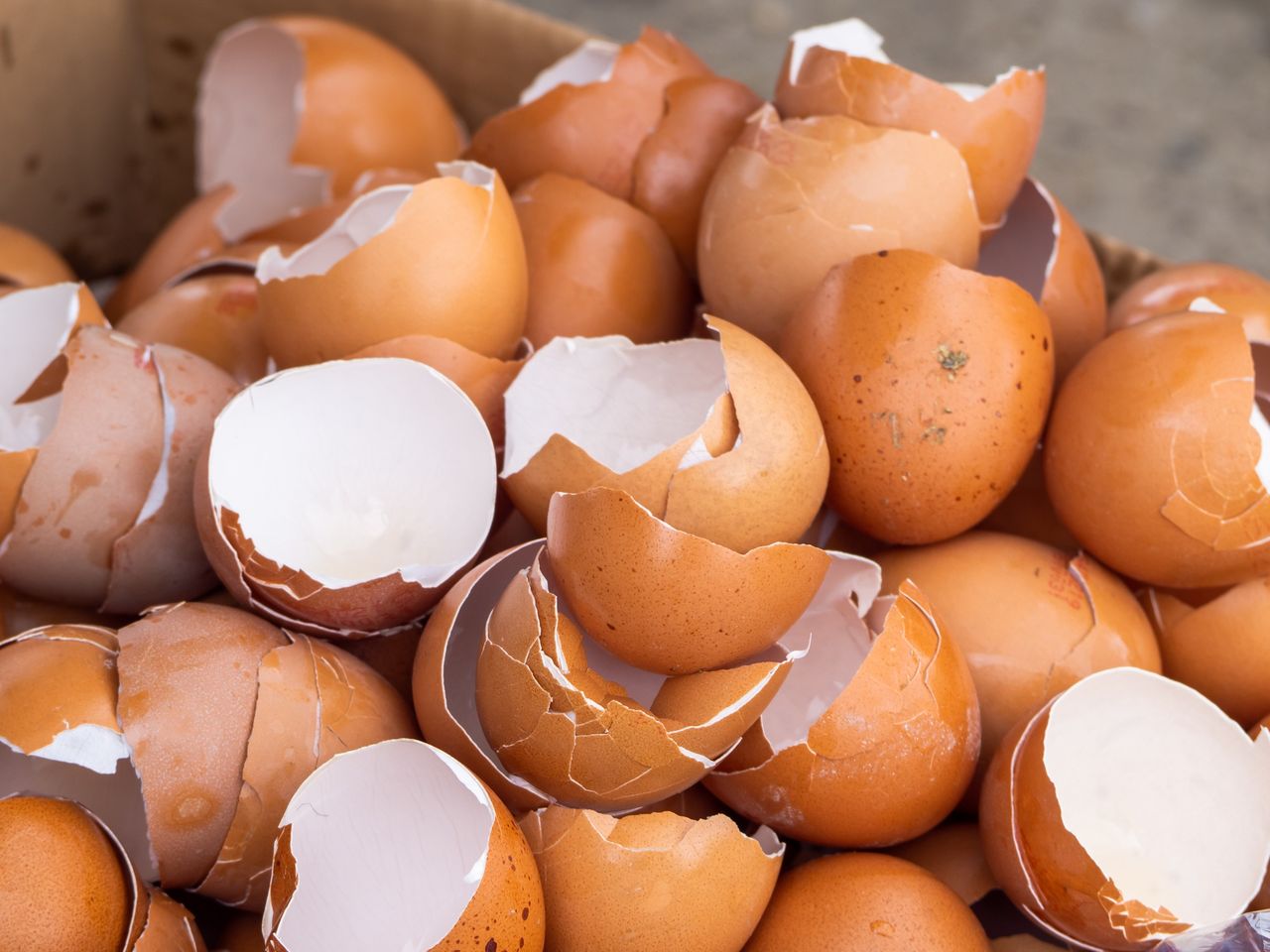 Skorupki też podlegają recyklingowi