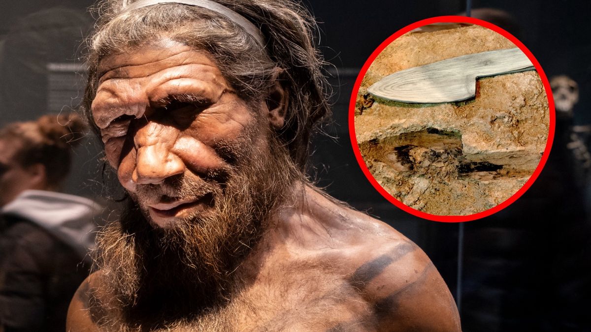 Znaleźli to pod Barceloną. Neandertalczycy mieli niezwykłe umiejętności