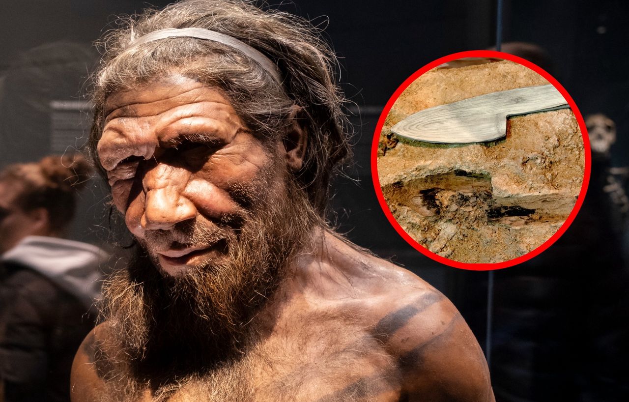 Archeolodzy odkryli 597 śladów. Neandertalczycy zaskoczyli naukowców