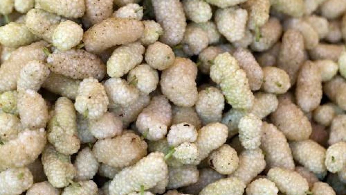 Niektóre rośliny mogą chronić przed rozwojem cukrzycy