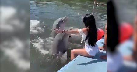 Kuba. Zaskakujący finał wizyty w delfinarium
