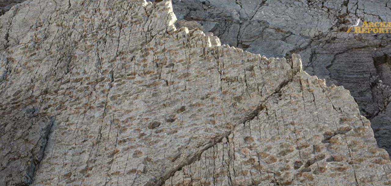 Odkrycie we Włoszech. "Tysiące tropów sprzed 210 mln lat"