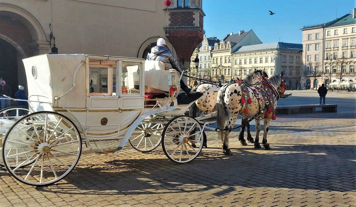 Najtańszy przejazd kosztuje 250 złotych.