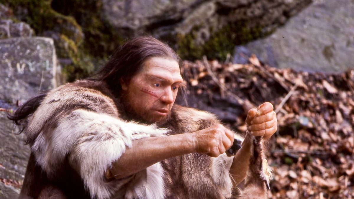 Przodek człowieka, rekonstrukcja cyfrowa