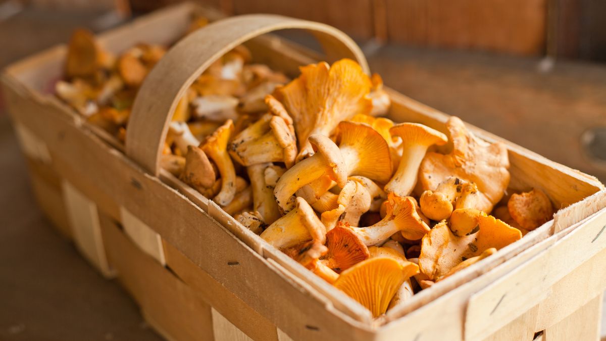 Właściwe przechowywanie kurek to klucz do zachowania ich świeżoś