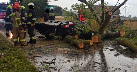 Drzewo zmiażdżyło auto. Koszmarny wypadek rodziny