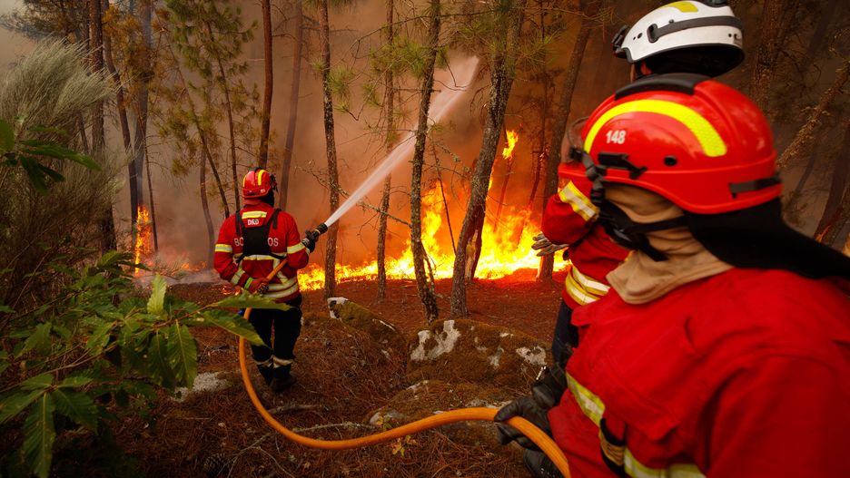 Forest fire in Vila Pouca de Aguiar
epa10096110 Firemen fights a forest fire in Reboredo village, Vila Pouca de Aguiar, Portugal, 28 July 2022. A total of 466 operational, 144 vehicles and six airplane are fighting the forest fire.  EPA/PEDRO SARMENTO COSTA 
Dostawca: PAP/EPA.
PEDRO SARMENTO COSTA