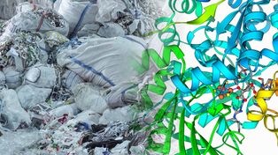 Te enzymy potrafią rozkładać plastik. Naukowcy znaleźli ich aż 12