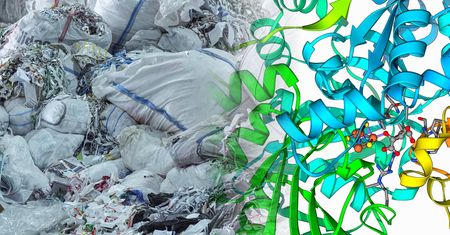 Te enzymy potrafią rozkładać plastik. Naukowcy znaleźli ich aż 12