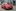 Nowy Fiat 500 – polski cennik