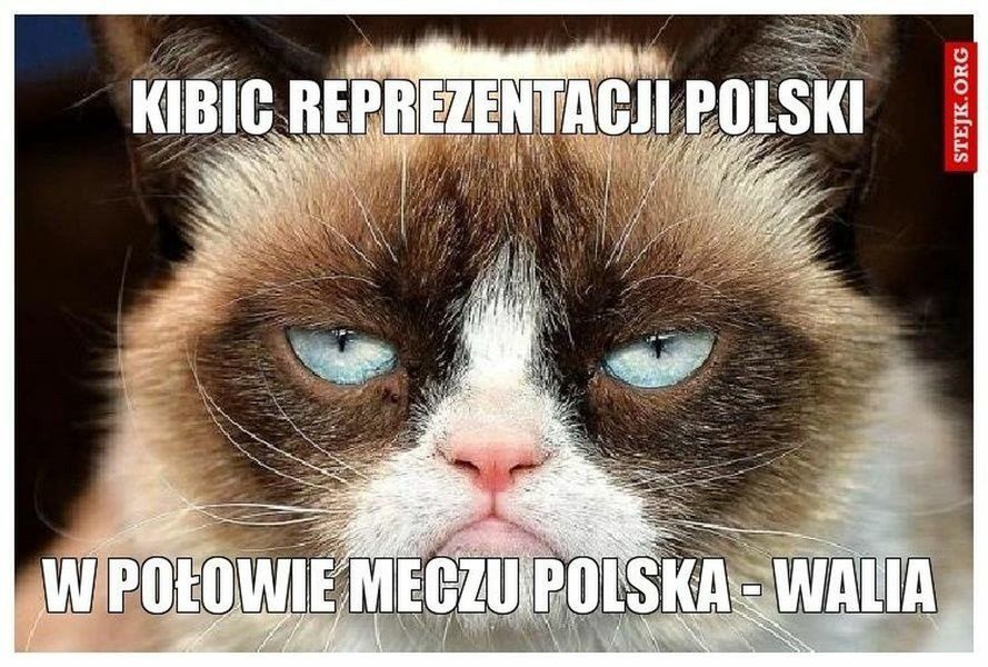 Najlepsze memy o reprezentacji Polski w piłce nożnej 