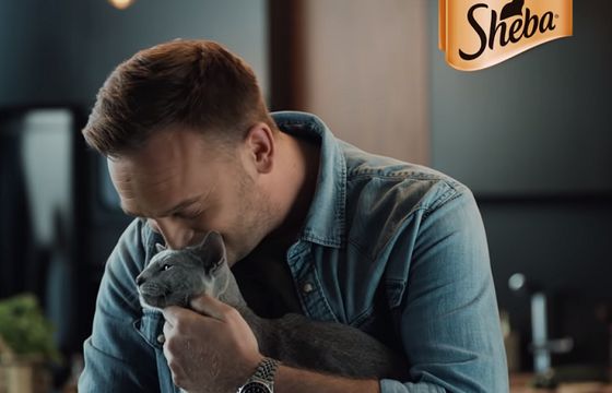 Mateusz Gessler gotuje kolację w reklamach karmy dla kotów Sheba (wideo)