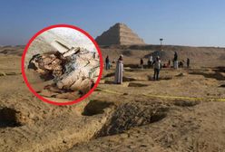 Sensacja w Egipcie. Najstarsze takie odkrycie. Mumia w złocie sprzed 4,3 tys. lat