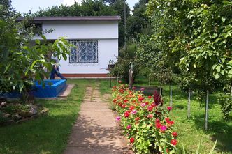 Chętnych na ogródki działkowe nie brakuje. Ekspert tłumaczy, co wpływa na ich ceny