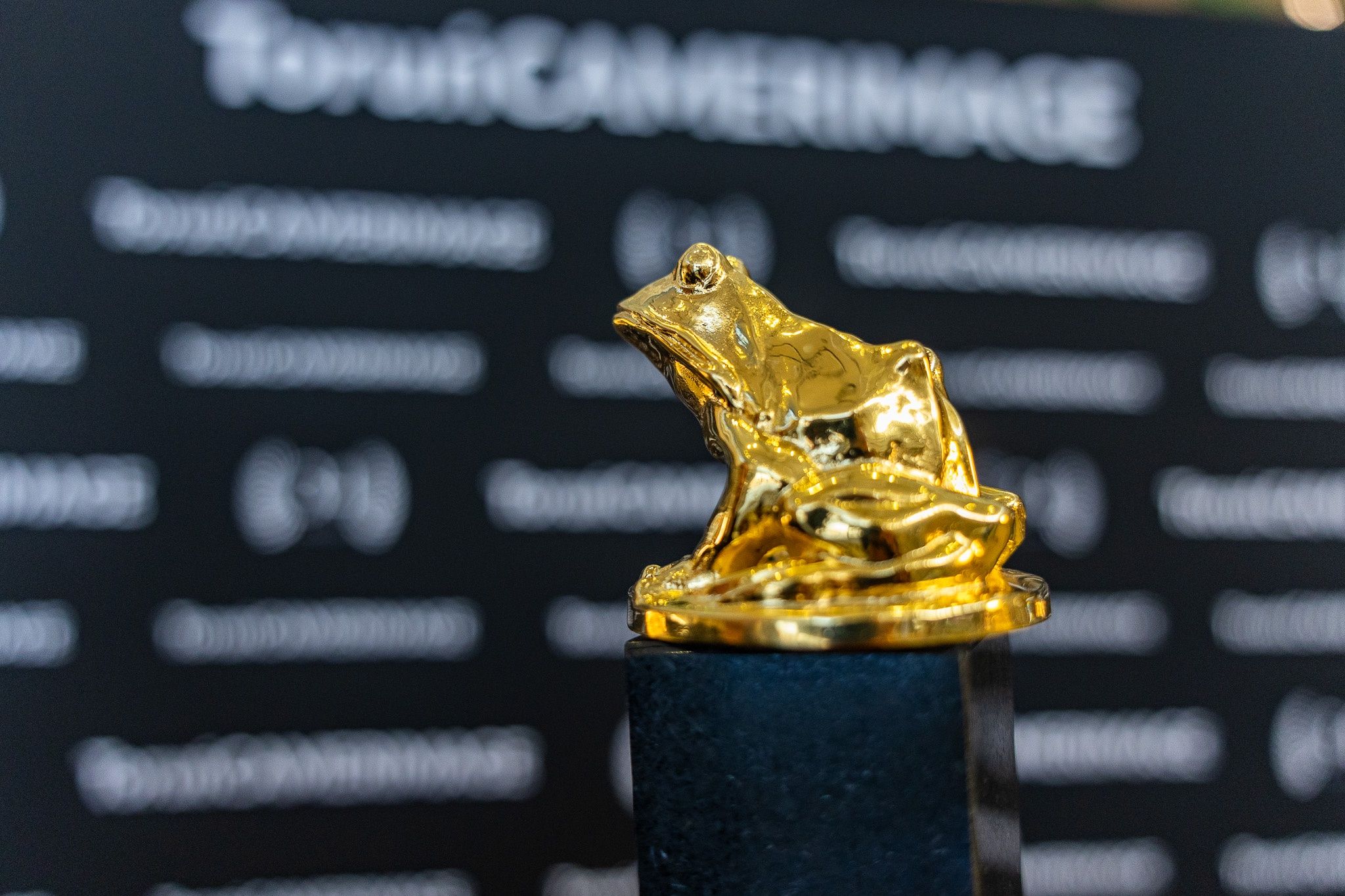  Metropolia Toruńska, ToruńCamerimage oraz Galeria Copernicus zapraszają do udziału w wyjątkowym konkursie, w którym do wygrania jest karnet na festiwal ToruńCamerimage