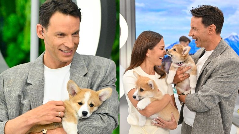 Tomasz Wolny debiutuje w "Halo tu Polsat"