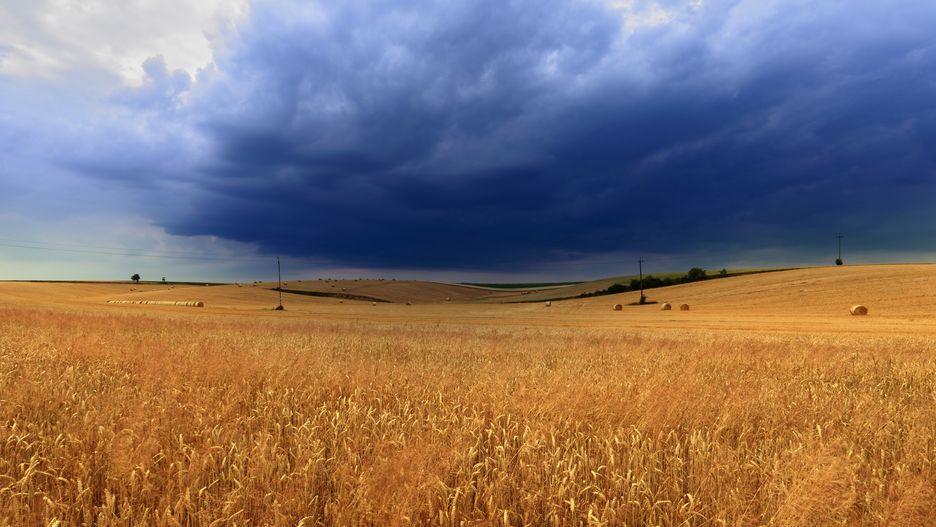 chmura, deszcz, lato, natura, pole, rolnictwo, uprawa, zbiory, żniwa, chmura deszczowa, burza, wzniesienia, góry, chmura gradowa