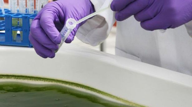 Oleje przechodzą szereg rygorystycznych testów