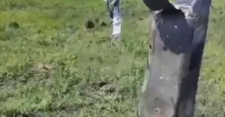 Runęła jak grom z jasnego nieba. Przerażający widok w Ukrainie
