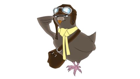 Gołąb pocztowy szybszy od Internetu? Wszystko jest możliwe 1