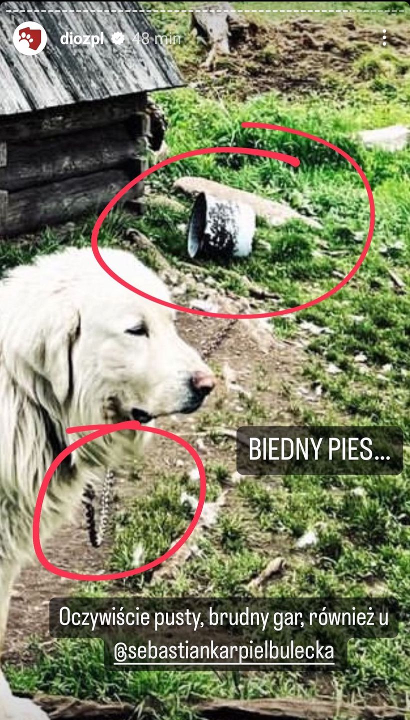 Sebastian Karpiel-Bułecka w ogniu krytyki