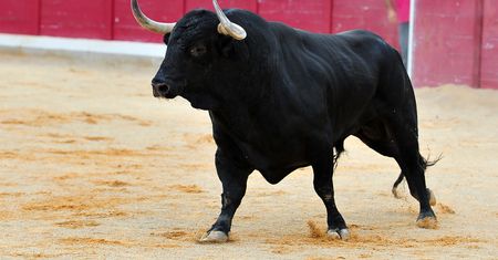 Polskie miasto zakazało rodeo. "Tysiące osób chciało je obejrzeć"
