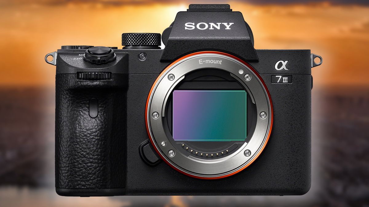 Sony A7 III – o czym warto wiedzieć? Nowy profesjonalny bezlusterkowiec już niedługo 1