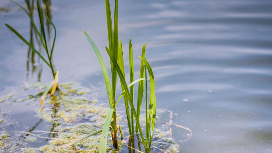 To kolejny przypadek utonięcia w ostatnim czasie