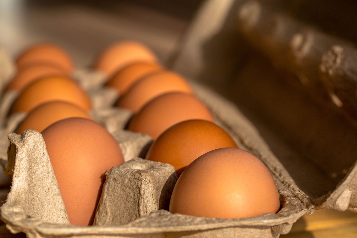 Zdania specjalistów na temat jajek są podzielone